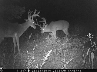 Property photo 65 - LAND AUCTION - 440+/- ACRES OFFERED IN 17 TRACTS IN OSAGE CO., OKLAHOMA